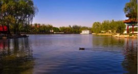 养生不出城、300余亩中央景观湖泊，居于此享纯天然生态氧吧！
